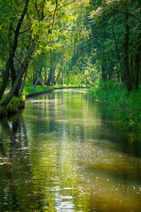 View of the famous “Spreewald“, Germany.