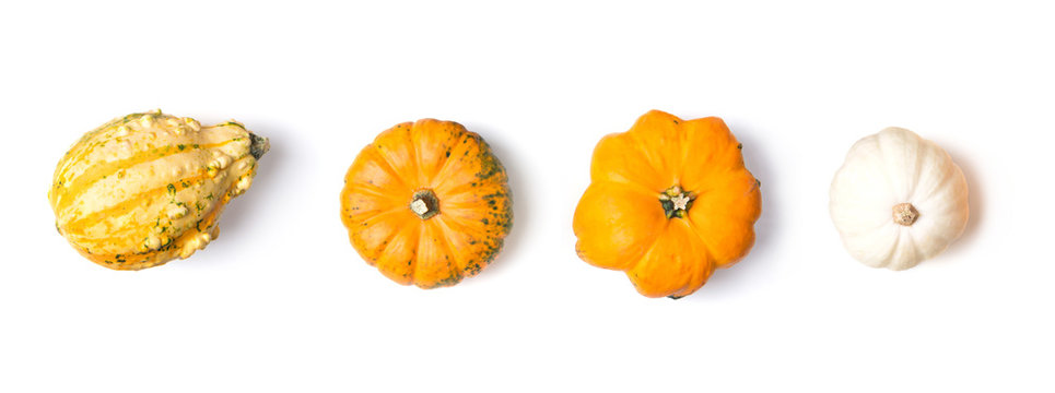 Line, border with decorative mini pumpkins isolated on white background, top view