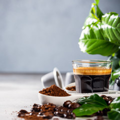 Coffee freshly brewed in a glass cup serving with beans and leafs. Food beverage background with copy space.