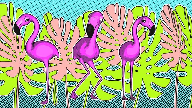 Seamless animation of a funny dancing flamingos with tropical plants.  Funny summer background cartoon hand drawn style psychedelic backdrop
