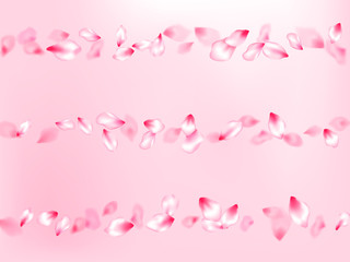 Pink cherry blossom petals isolated