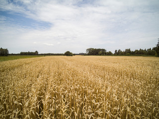 arable fields seen from above, agriculture