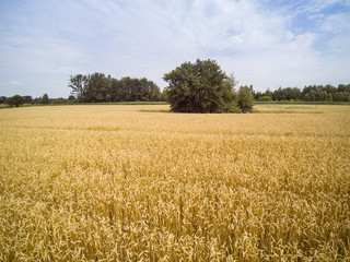 arable fields seen from above, agriculture