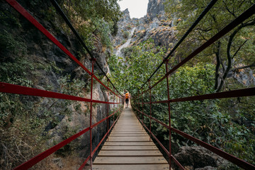spectacular view of a woman with a orange backpack crossing a hanging bridge into the forest.
