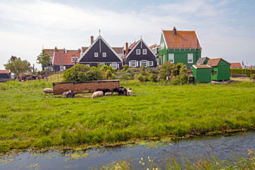 Traditional dutch houses in the countryside from the Netherlands in spring