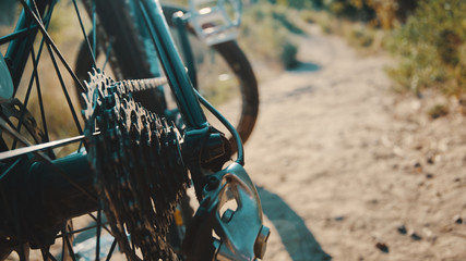Rear view of a mountain bike on a trail