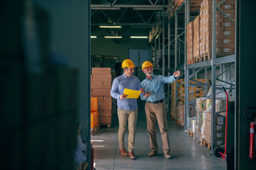CEO going around warehouse with supervisor and talking analyzing sale statistics. Younger man holding folder with data while older one holding tablet and pointing at boxes. Both having yellow helmets. - obrazy, fototapety, plakaty