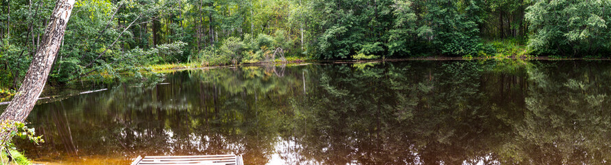 Fototapeta na wymiar Panorama of the forest lake.