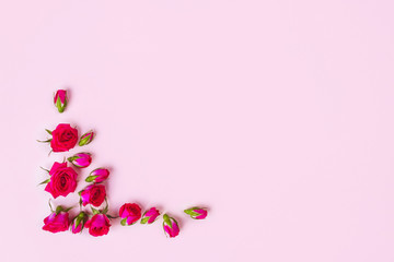Fototapeta na wymiar Beautiful roses on pink background, top view.
