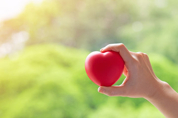 Fototapeta na wymiar Woman hand holding red heart on nature background.Valentines Day concept.World Heart Day.