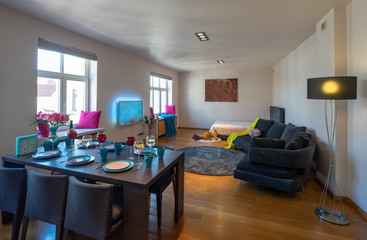 Spacious room in modern apartment