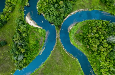 Peel and stick wall murals Forest river Top view drone shot of a green field, forest and river