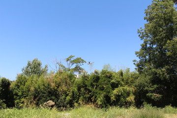 sky