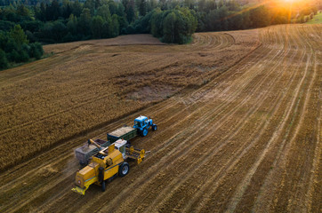 Top view of Combine harvester and the tractor on the field of ripe wheat in sunlight rays.
