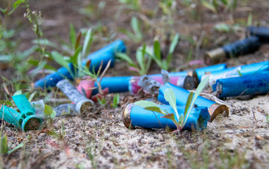 Spent shotgun shells on sand in nature reserve