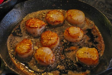 Selective Focus closeup of perfectly seared fresh sea scallops in butter and cracked pepper, sizzling on a cast iron skillet