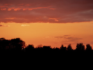 Warm orange sunset sky with clouds over trees silhouette.