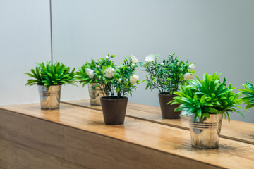 Decorative flowers in pots on the wooden shelf. Reflection in the mirror.