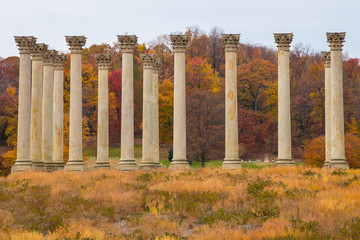 autumn view of original us capitol columns at the US Arboretum in Washington DC