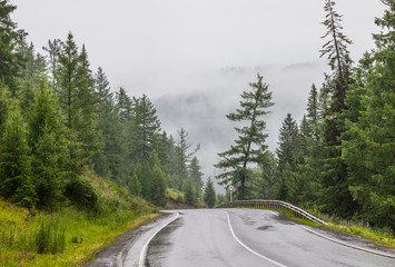 Fototapeta na wymiar Mountain road in rainy weather, wet asphalt
