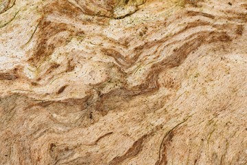 Beautiful wooden abstract shapes for background