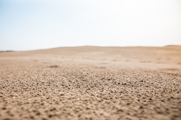Panoramic view of desert