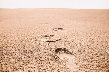 Close up off footprints in the sand in the danish desert