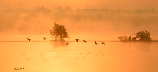 Sonnenaufgang im Moor