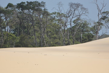 vassouras