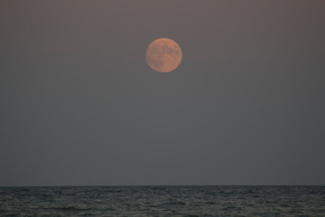 the red full moon over the sea