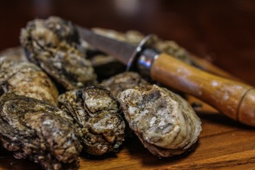 Selective Focus Closeup of Fresh Rappahannock River Oysters on a Wooden Board, with an Oyster Knife, ready to be shucked