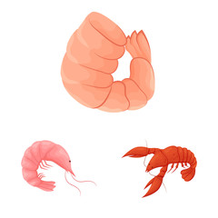 Isolated object of shrimp and crab symbol. Collection of shrimp and sea stock symbol for web.