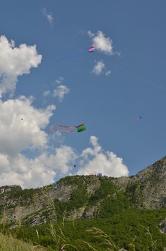 Acquiloni