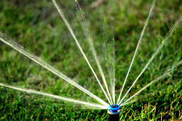 Rotating sprinkler on a green lawn - obrazy, fototapety, plakaty