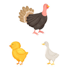 Vector illustration of farm and food sign. Set of farm and countryside vector icon for stock.