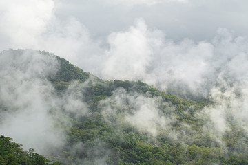 Green mountain scenery and fog in the mountains