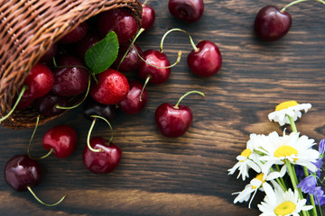 Cherries in the basket pot and daisies on an old wooden background.