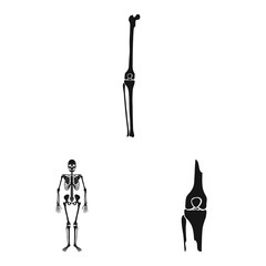 Vector design of biology and medical icon. Collection of biology and skeleton stock symbol for web.