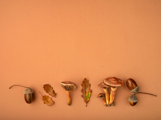 Frame with stuff from an autumn forest.