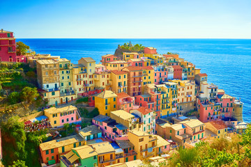 Colorful houses of Manarola, a beautiful village in 