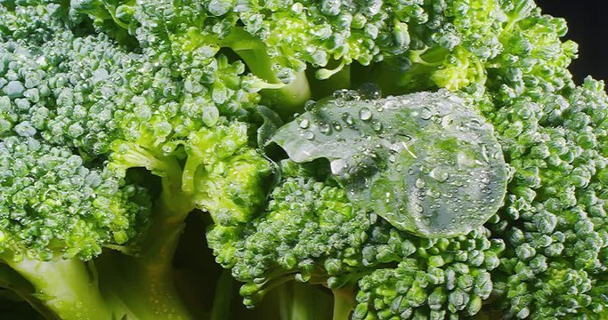 Details of a Broccoli Floret. Extremely macro shot