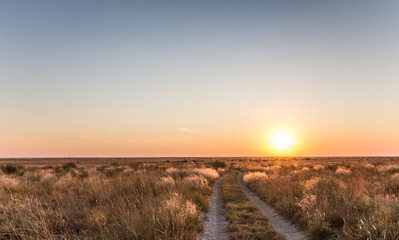 Fototapeta na wymiar Sunset and jeep track through the Kalahari