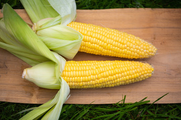 Maiskolben auf Holzbrett