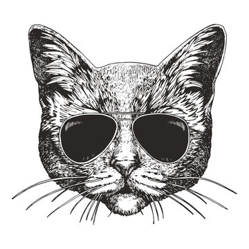 Portrait of Cat with sunglasses. Hand-drawn illustration. Vector