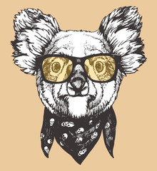 Portrait of Koala with glasses and scarf. Hand-drawn illustration. Vector.