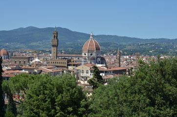 Fototapeta premium Firenze