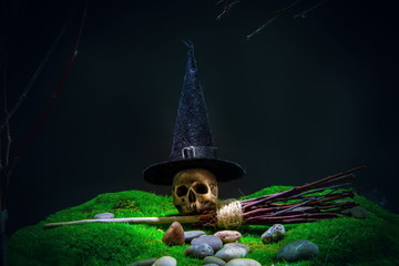 witch skull grass
