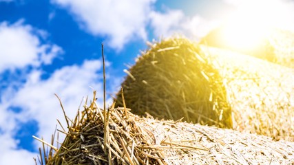 Straw wrapped in a circle . Agricultural  . sunny, hot weather .