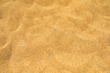 Top view of sand beach texture background