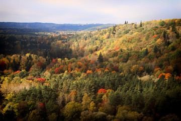 Autumn at Gauja Nationalpark near Sigulda in Latvia, Baltic States, Europe